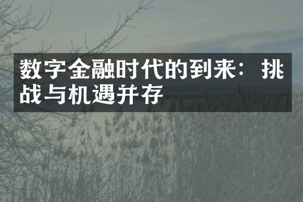 数字金融时代的到来：挑战与机遇并存