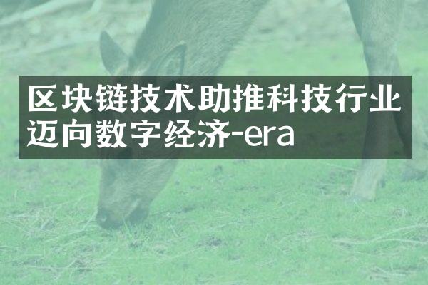 区块链技术助推科技行业迈向数字经济-era