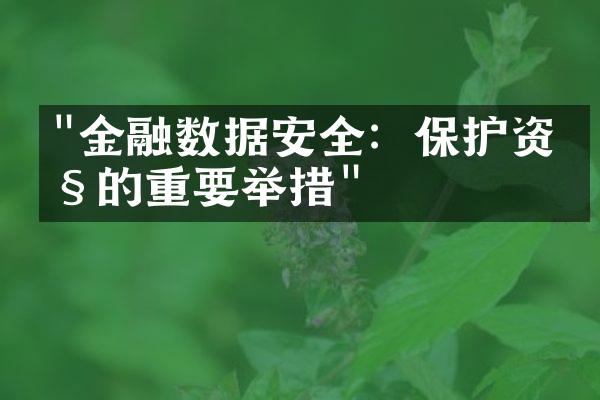 "金融数据安全：保护资产的重要举措"