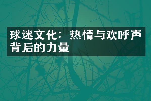 球迷文化：热情与欢呼声背后的力量