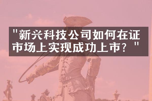 "新兴科技公司如何在证券市场上实现成功上市？"