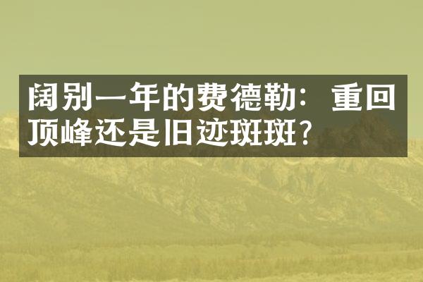 阔别一年的费德勒：重回顶峰还是旧迹斑斑？