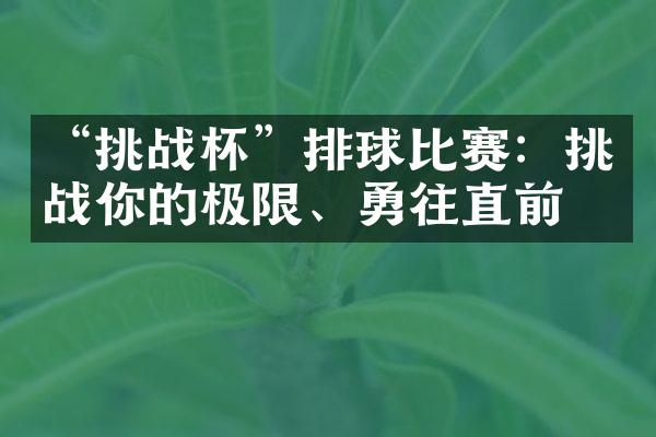 “挑战杯”排球比赛：挑战你的极限、勇往直前