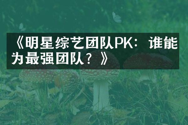 《明星综艺团队PK：谁能成为最强团队？》