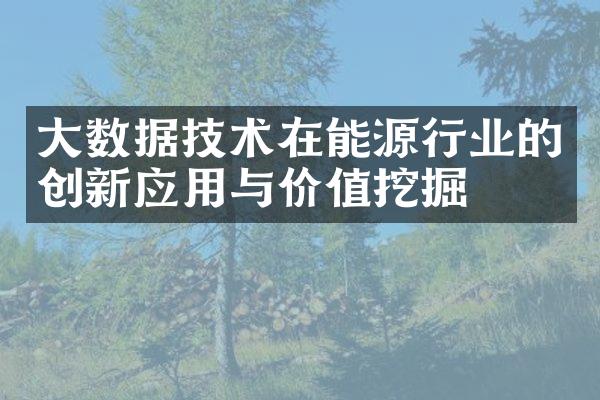 大数据技术在能源行业的创新应用与价值挖掘