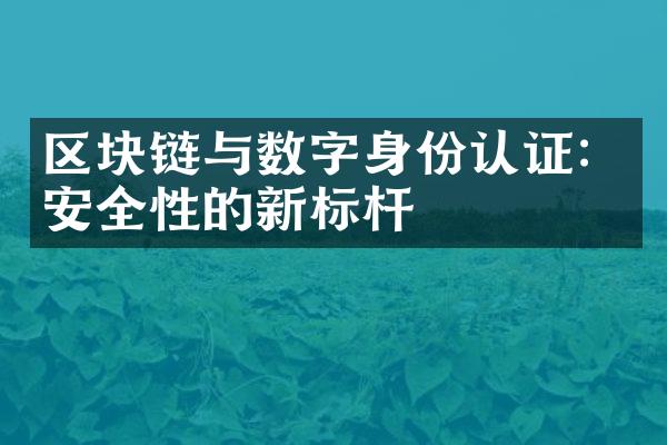 区块链与数字身份认证：安全性的新标杆