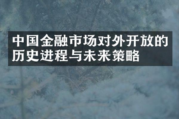 中国金融市场对外开放的历史进程与未来策略