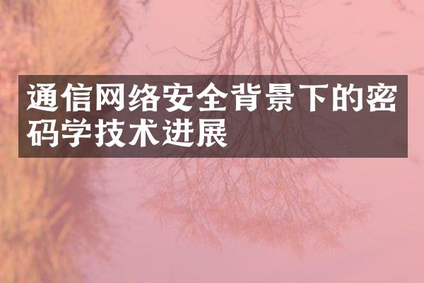 通信网络安全背景下的密码学技术进展