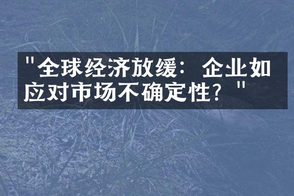 "全球经济放缓：企业如何应对市场不确定性？"