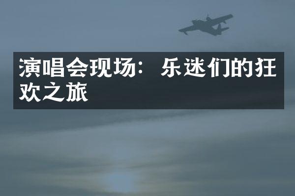 演唱会现场：乐迷们的狂欢之旅