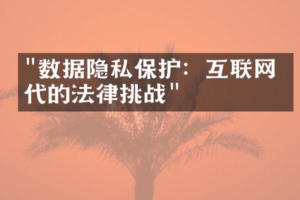 "数据隐私保护：互联网时代的法律挑战"