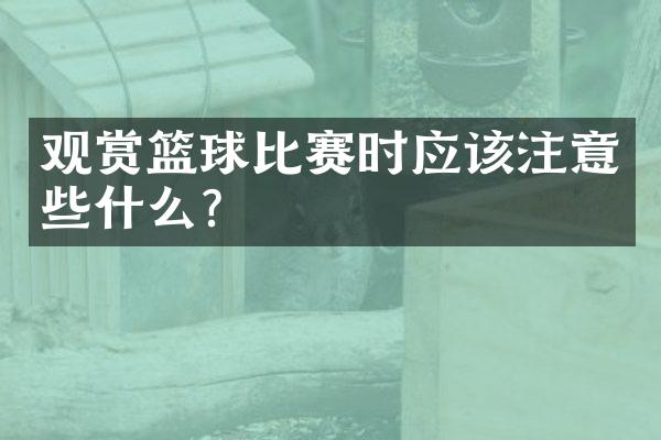 观赏篮球比赛时应该注意些什么？