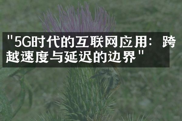 "5G时代的互联网应用：跨越速度与延迟的边界"