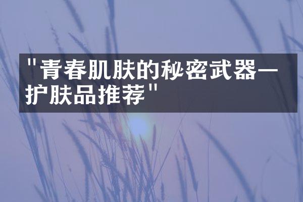 "青春肌肤的秘密武器——护肤品推荐"