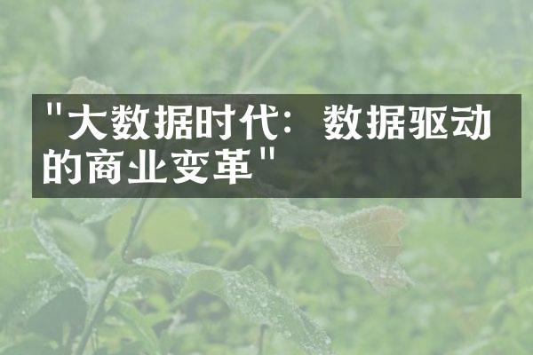 "大数据时代：数据驱动下的商业变革"