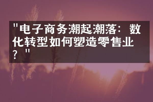 "电子商务潮起潮落：数字化转型如何塑造零售业态？"