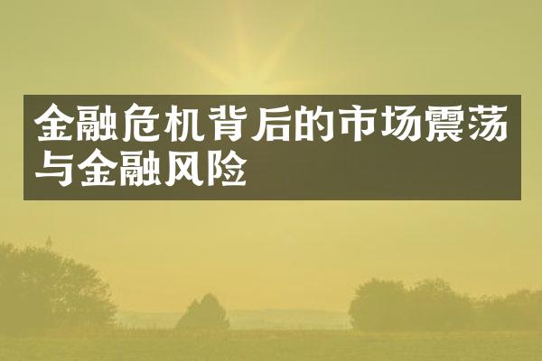 金融危机背后的市场震荡与金融风险