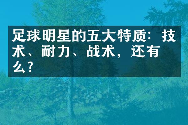 足球明星的五大特质：技术、耐力、战术，还有什么？