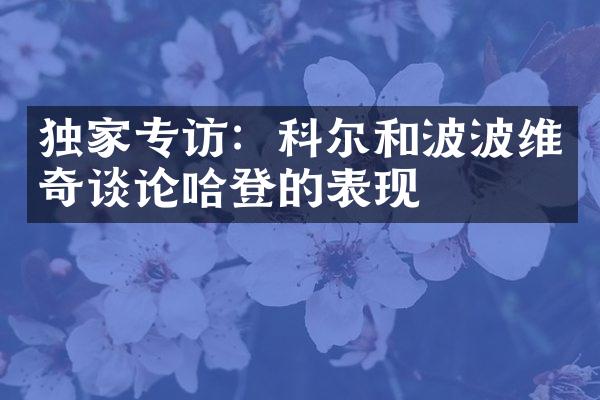 独家专访：科尔和波波维奇谈论哈登的表现