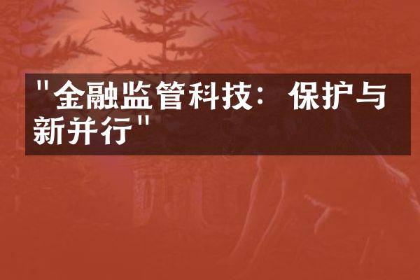 "金融监管科技：保护与创新并行"