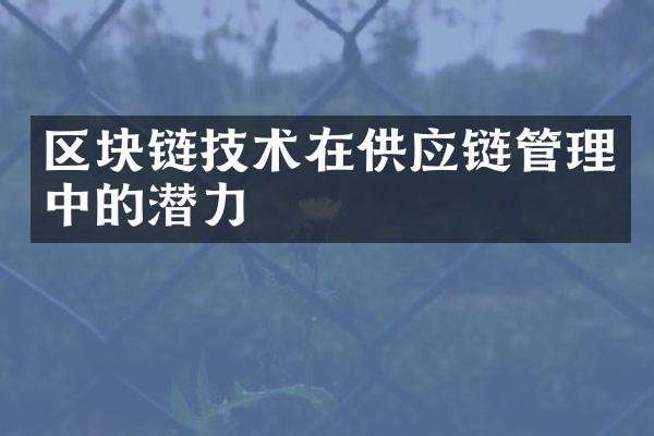 区块链技术在供应链管理中的潜力