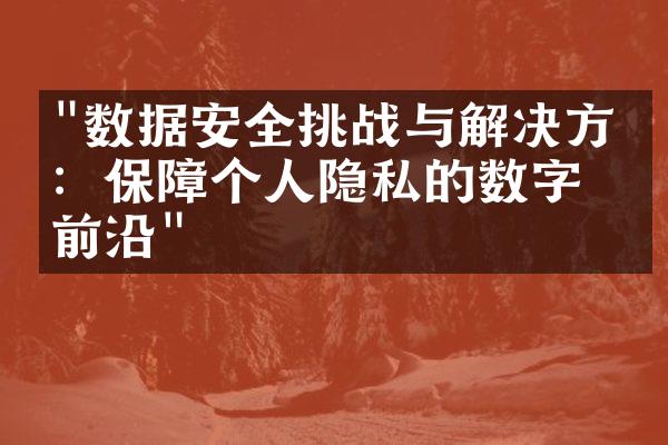 "数据安全挑战与解决方案：保障个人隐私的数字化前沿"