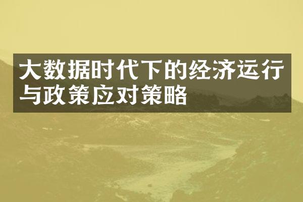 数据时代下的经济运行与政策应对策略