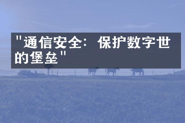 "通信安全：保护数字世界的堡垒"