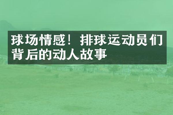 球场情感！排球运动员们背后的动人故事