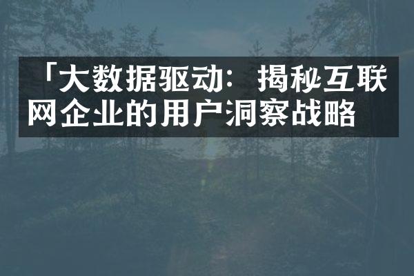 「数据驱动：揭秘互联网企业的用户洞察」