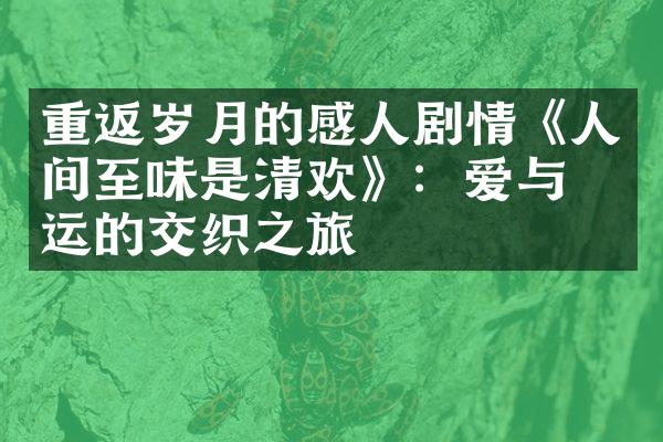 重返岁月的感人剧情《人间至味是清欢》：爱与命运的交织之旅