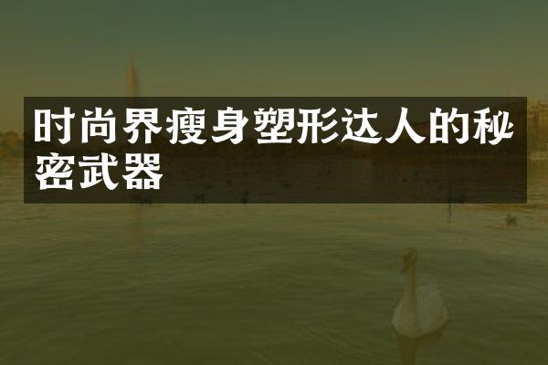 时尚界塑形达人的秘密武器