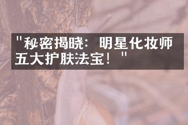 "秘密揭晓：明星化妆师的五大护肤法宝！"