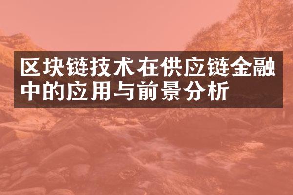 区块链技术在供应链金融中的应用与前景分析