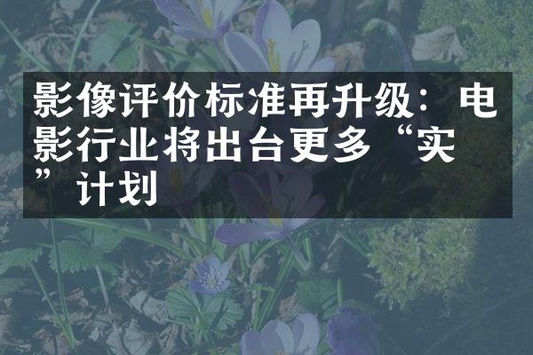 影像评价标准再升级：电影行业将出台更多“实干”计划