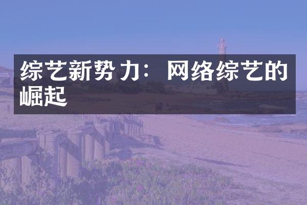 综艺新势力：网络综艺的崛起