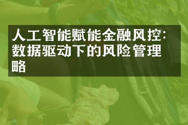 人工智能赋能金融风控：数据驱动下的风险管理策略