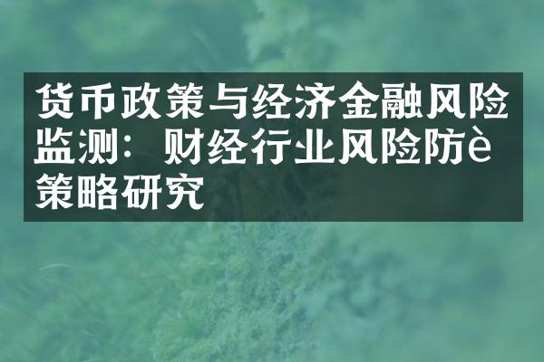 货币政策与经济金融风险监测：财经行业风险防范策略研究