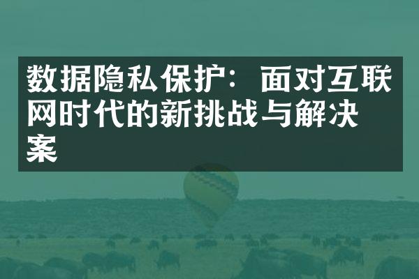 数据隐私保护：面对互联网时代的新挑战与解决方案