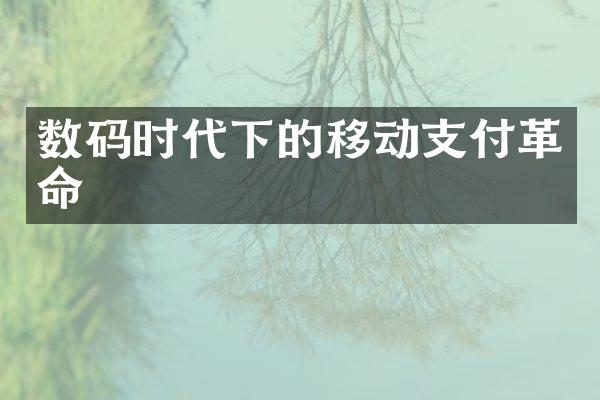 数码时代下的移动支付革命