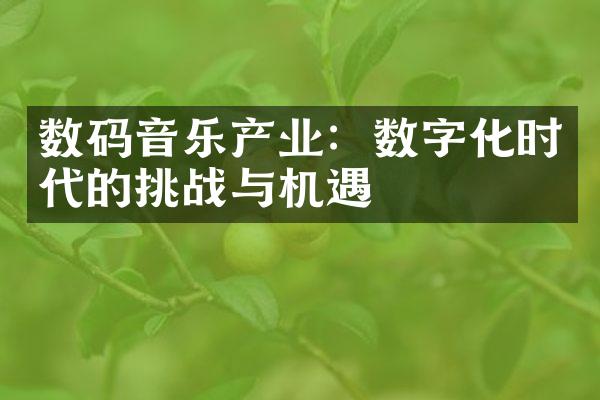 数码音乐产业：数字化时代的挑战与机遇