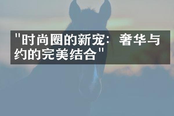 "时尚圈的新宠：奢华与简约的完美结合"