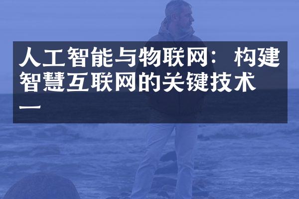 人工智能与物联网：构建智慧互联网的关键技术之一