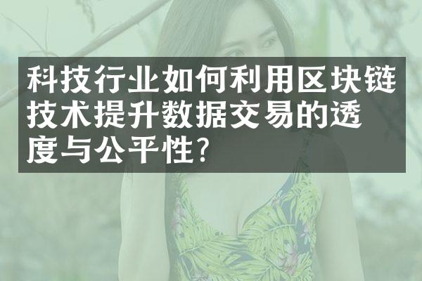 科技行业如何利用区块链技术提升数据交易的透明度与公平性？