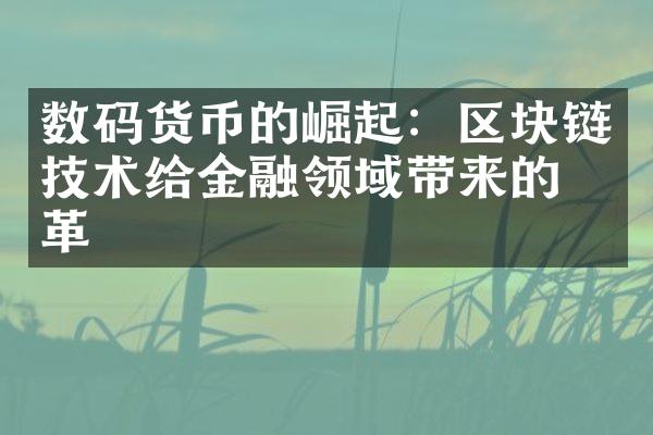 数码货币的崛起：区块链技术给金融领域带来的变革