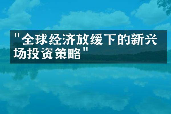 "全球经济放缓下的新兴市场投资策略"