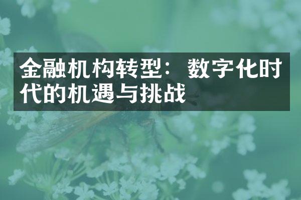 金融机构转型：数字化时代的机遇与挑战