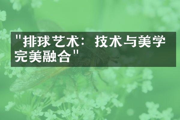 "排球艺术：技术与美学的完美融合"