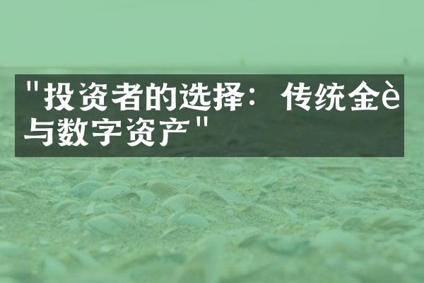 "投资者的选择：传统金融与数字资产"