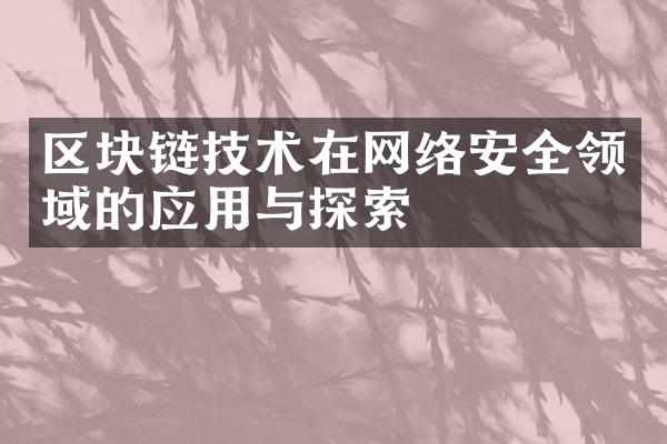 区块链技术在网络安全领域的应用与探索